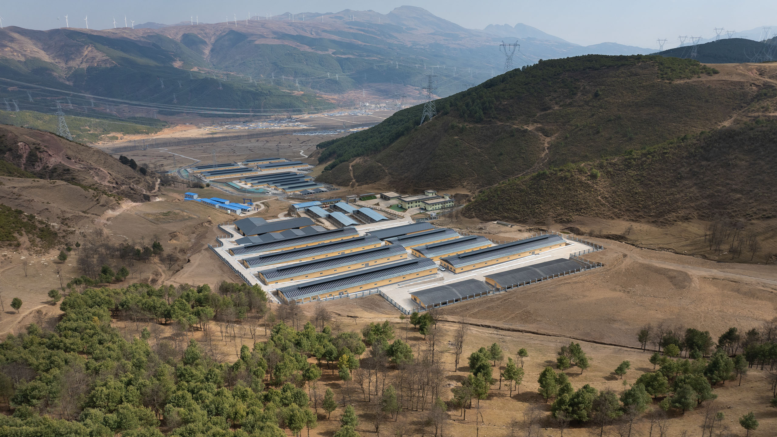 凉山黑绵羊科技示范园区